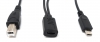 USB 3.1 Y Kabel 25 cm Typ C Buchse zu 2.0 Typ B und Micro B Stecker Adapter