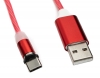 USB 3.1 leuchtendes Kabel 1m Typ C Stecker zu 2.0 Typ A Stecker austauschbar Rot